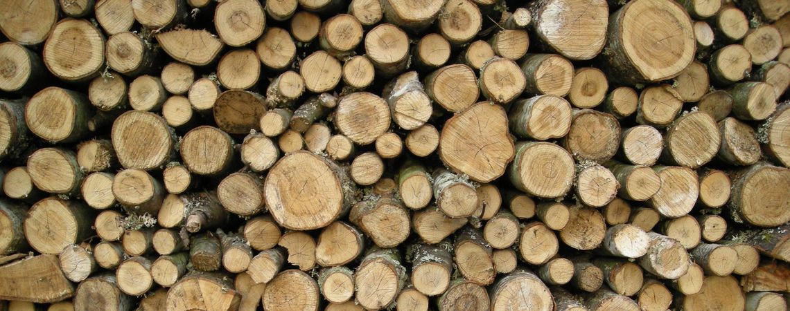Timber